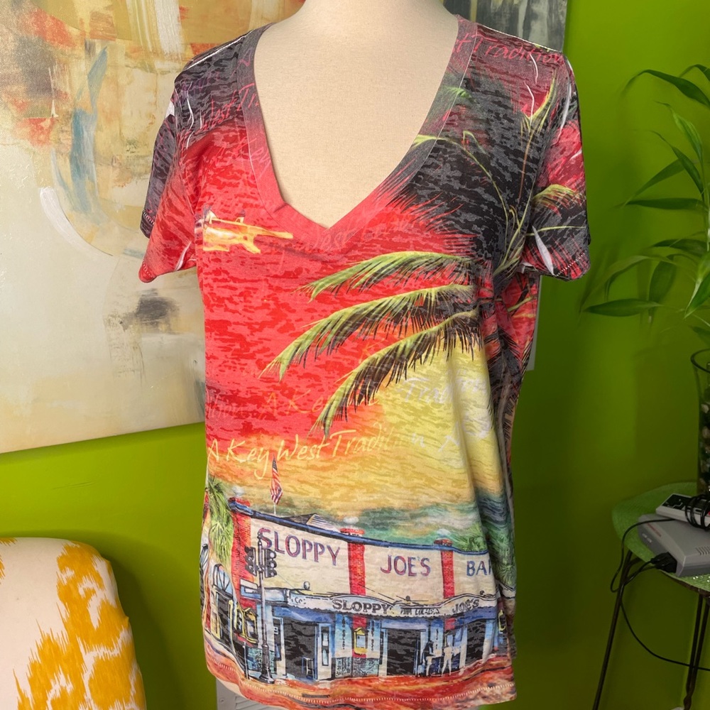 Vibrant Multicolor V-Neck Women Top